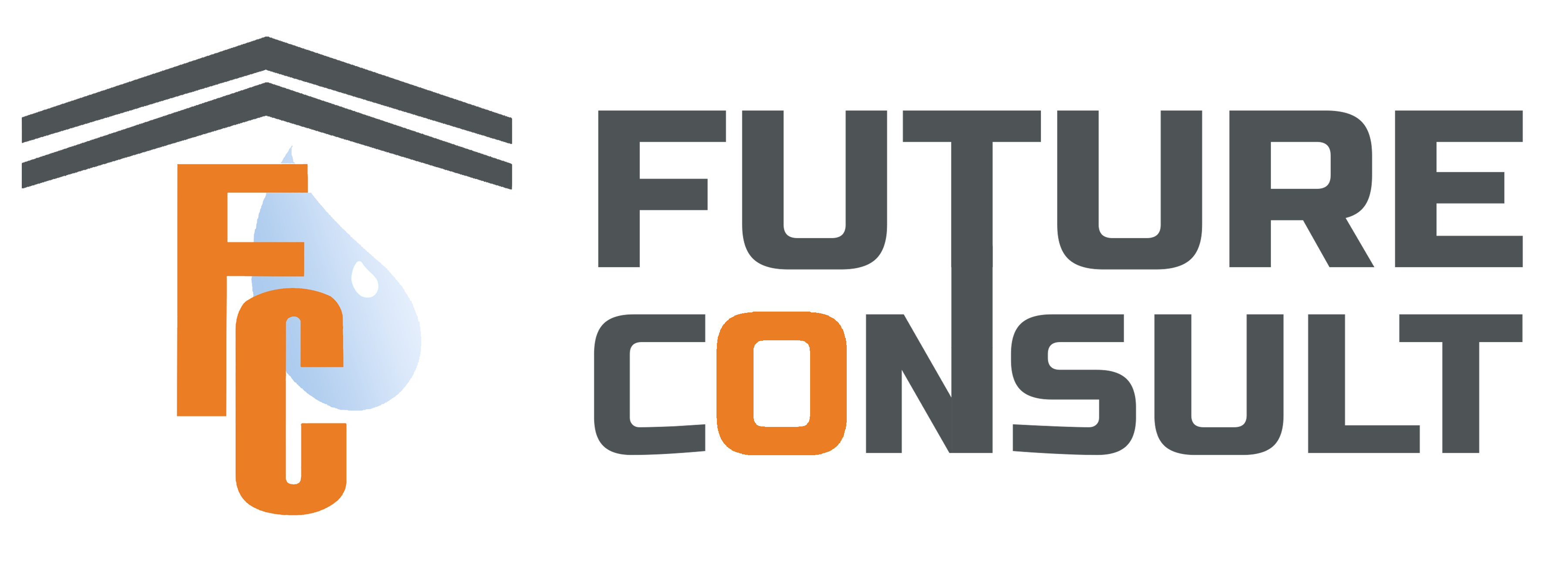 Future Logo